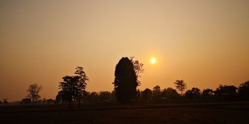 Silhouette trees on field against sky during sunset