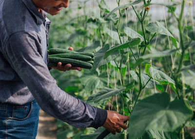 Midsection of man working in field