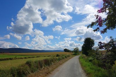 Dirt road passing through field