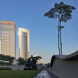 Buildings in city