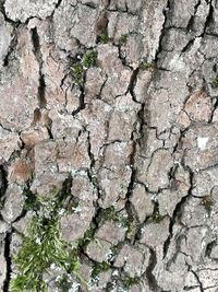 Full frame shot of cracked rock