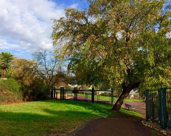 Trees in park against sky