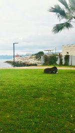 Scenic view of grassy field by sea against sky