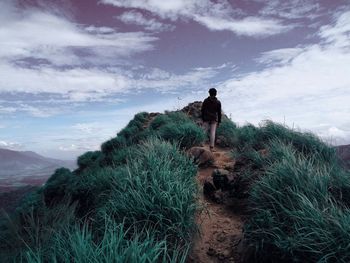 Rear view of man standing on mountain against sky