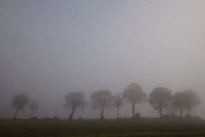 Trees on field against sky during foggy weather