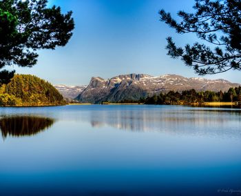 Scenic view of lake by trees against blue sky