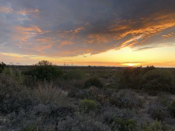 Scenic view of field against sky during sunset