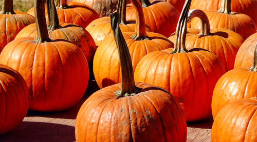 Close-up of pumpkins for sale at market stall