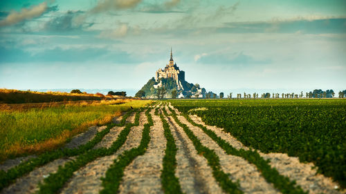 View of agricultural field against sky