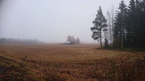 Scenic view of agricultural field against clear sky