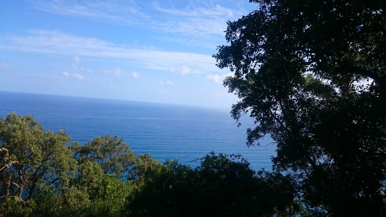 SCENIC VIEW OF SEA BY TREES AGAINST SKY