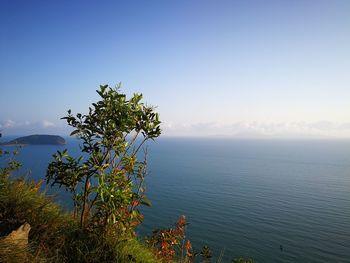 Scenic view of sea against clear blue sky