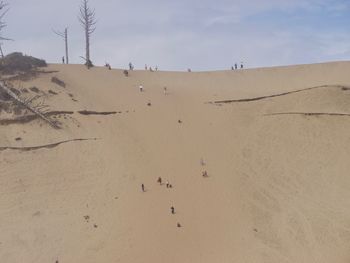Scenic view of desert against sky