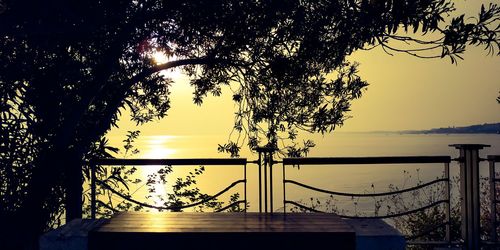 Silhouette trees against sky during sunset