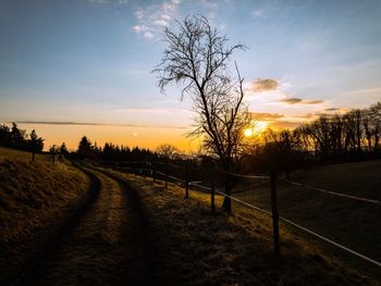 Bare trees on field against sky at sunset