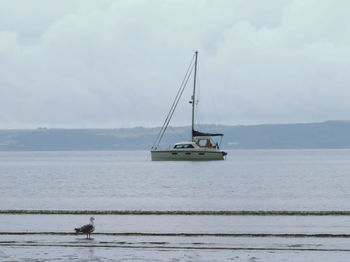 Sailboat sailing on sea against sky