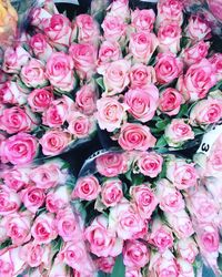 Full frame shot of pink roses in store