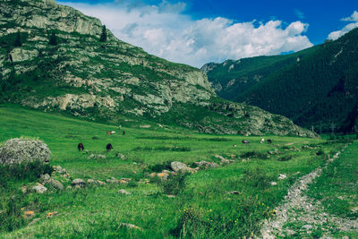 Scenic view of green landscape and mountains against sky