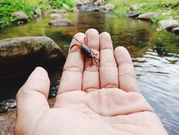 Close-up of hand holding small water