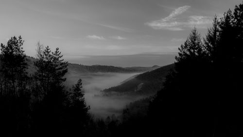 Silhouette trees in forest against sky