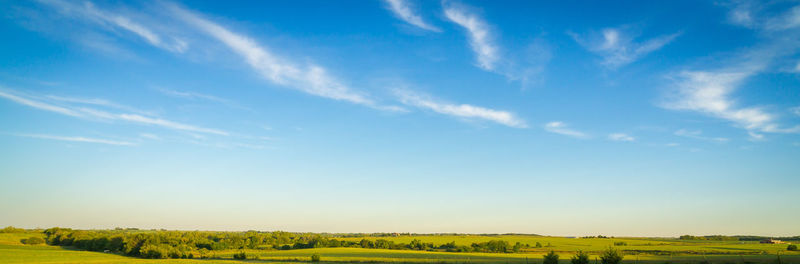 Scenic view of field against clear sky