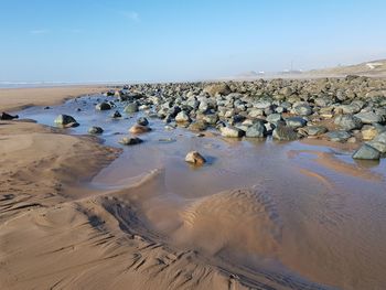 Scenic view of sea shore against sky