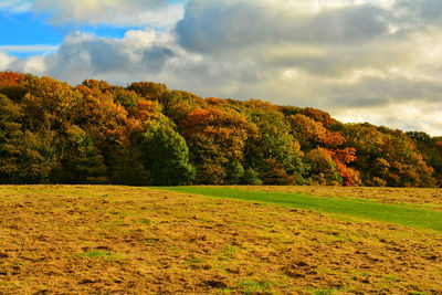Trees on field against sky during autumn
