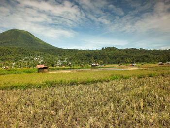 Scenic view of agricultural field against sky