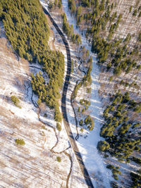 Aerial view of road amidst forest during winter