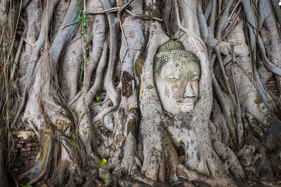 Statue of buddha in temple