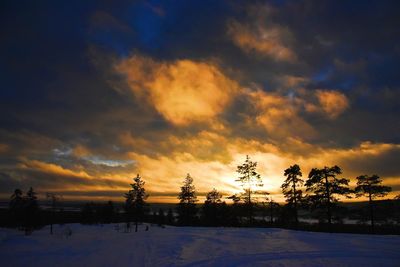 Silhouette trees on snow covered landscape against sky during sunset