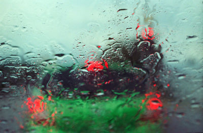 Raindrops on glass window