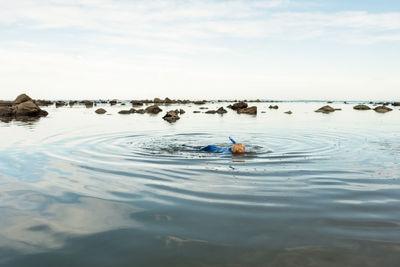 Young curly haired child snorkeling in new zealand