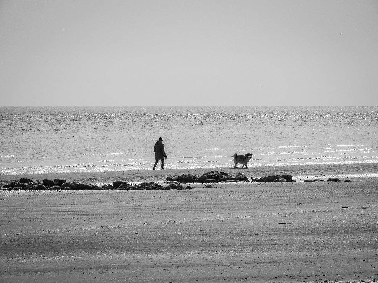 SILHOUETTE PEOPLE ON BEACH AGAINST CLEAR SKY