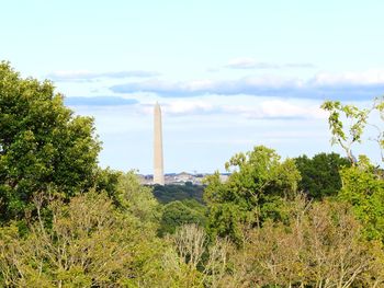 Trees on landscape against sky