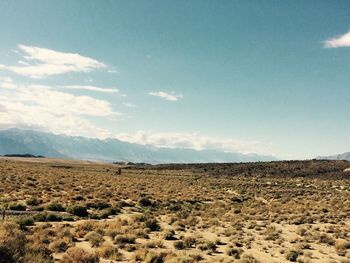 Scenic view of landscape against sky