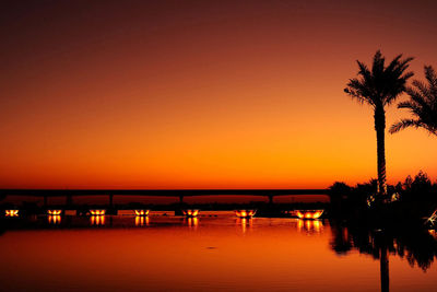 Silhouette palm trees by swimming pool against sky during sunset