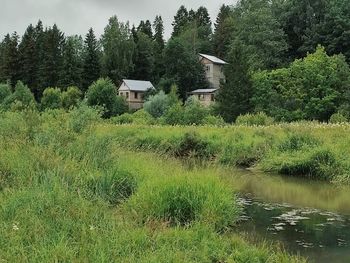 Scenic view of lake by trees and buildings