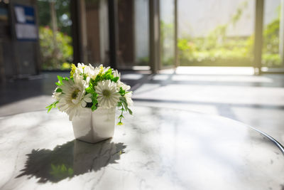 Close-up of white flower on table