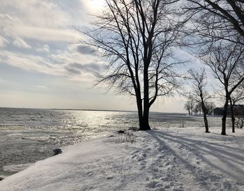 Bare trees on snow covered land by sea against sky