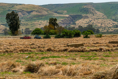 Scenic view of agricultural field against mountains