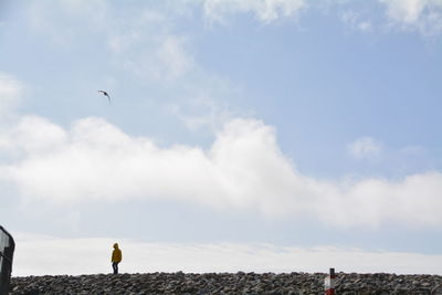 Distance view of person standing at beach against sky