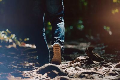 Low section of man walking in forest