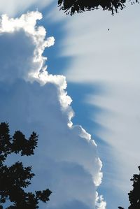 Low angle view of trees against cloudy sky