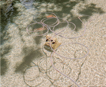 High angle view of swimming in sea