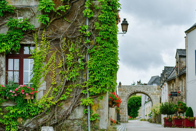 Street amidst trees and buildings against sky