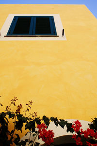 Low angle view of yellow flowering plant against building