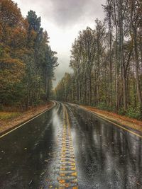 Wet road amidst trees during rainy season