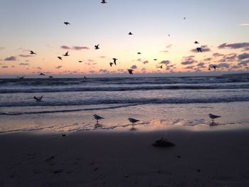 Scenic view of sea at sunset