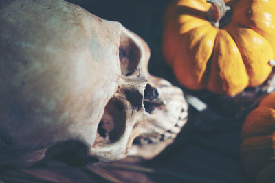 Close-up of human skull and pumpkin on table